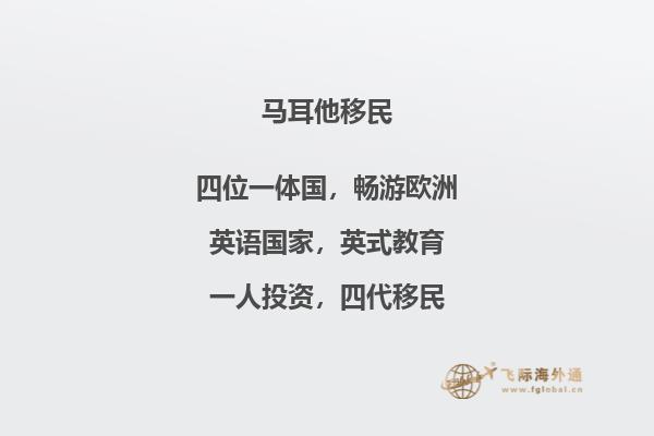 了解马耳他移民数据分数线的关键指标