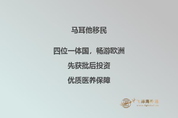 马耳他移民难度如何？