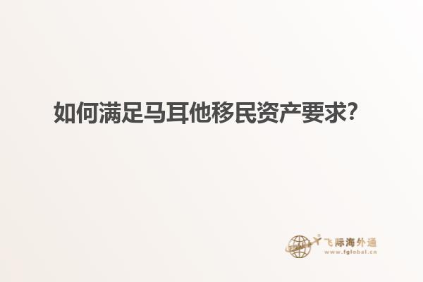 如何满足马耳他移民资产要求？