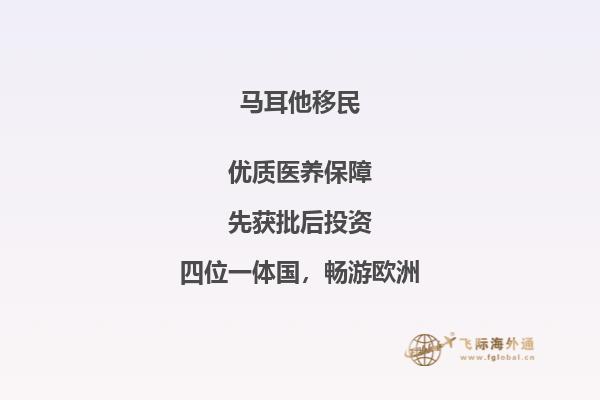 申请马耳他移民？查看移民局网站！