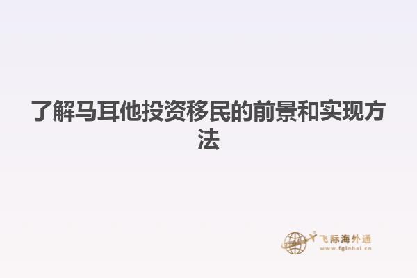 了解马耳他投资移民的前景和实现方法