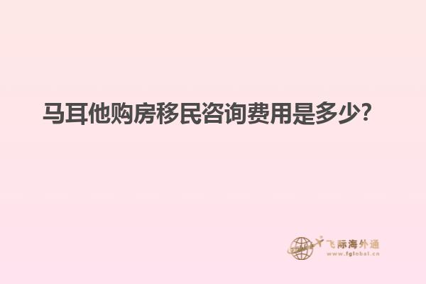马耳他购房移民咨询费用是多少？