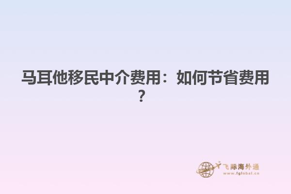 马耳他移民中介费用：如何节省费用？