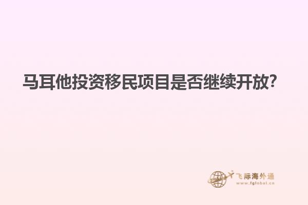 马耳他投资移民项目是否继续开放？