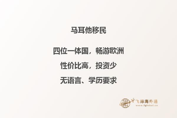探究马耳他投资移民政策：申请条件与流程