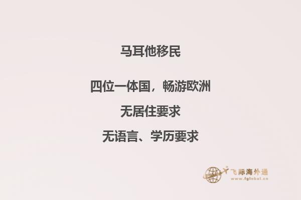优越生活与职业发展：选择马耳他的移民计划