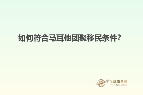 如何符合马耳他团聚移民条件？