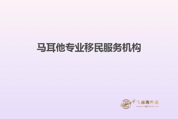马耳他专业移民服务机构