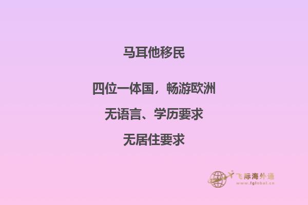 马耳他专业移民服务机构