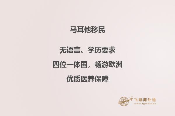马耳他的移民费用预估，让你知晓实际花费。