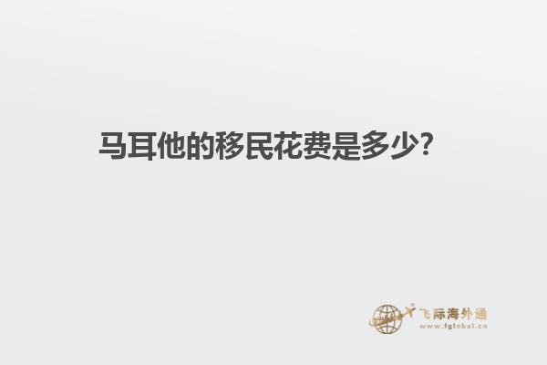 马耳他的移民花费是多少？