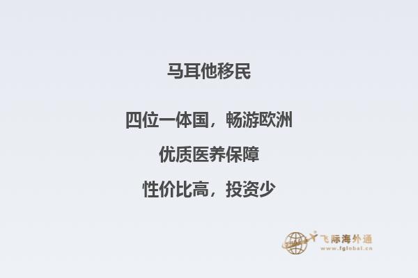 马耳他的移民花费是多少？