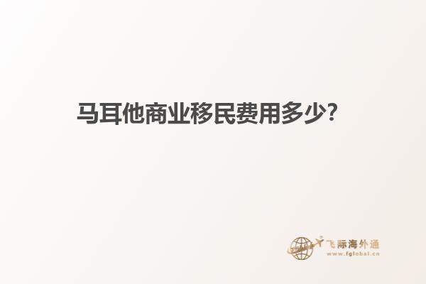 马耳他商业移民费用多少？