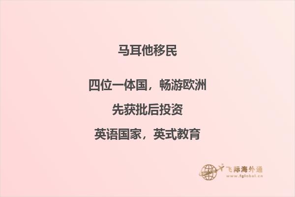 揭露马耳他移民的真相