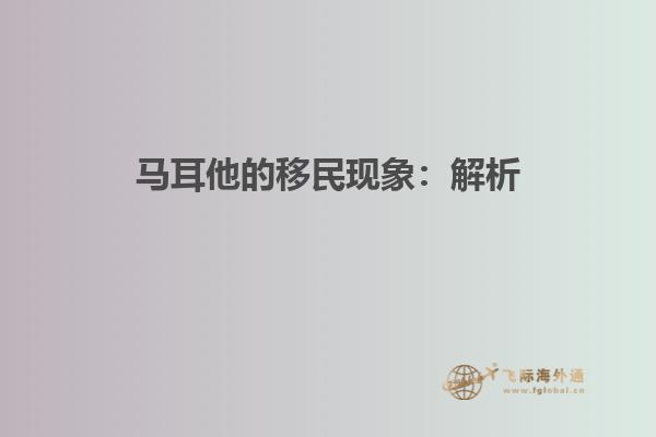 马耳他的移民现象：解析