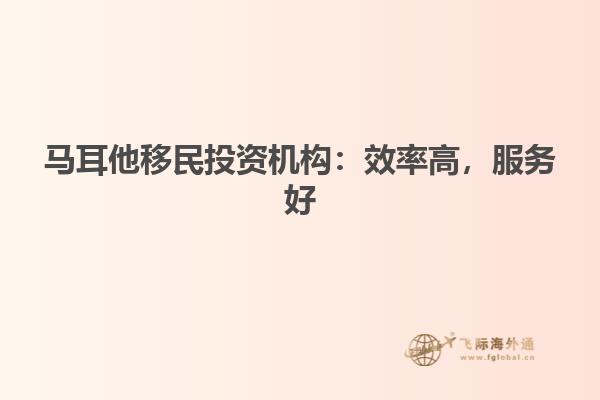 马耳他移民投资机构：效率高，服务好