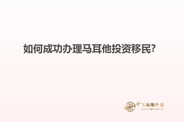 如何成功办理马耳他投资移民？