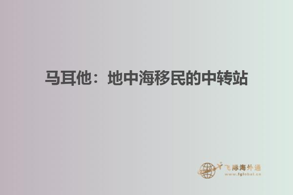 马耳他：地中海移民的中转站