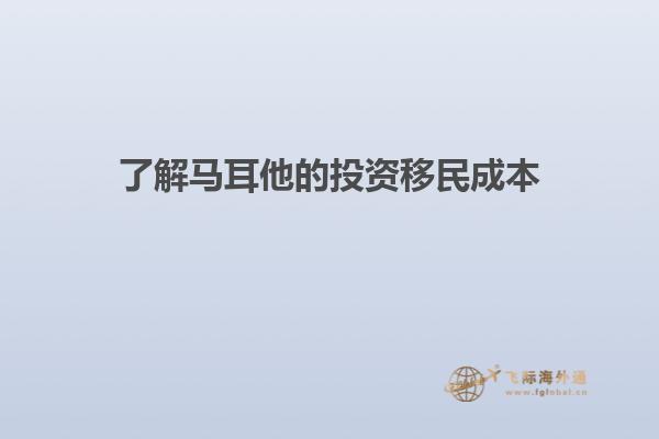了解马耳他的投资移民成本