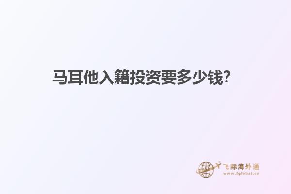 马耳他入籍投资要多少钱？