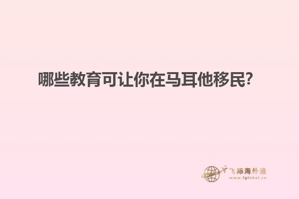 哪些教育可让你在马耳他移民？