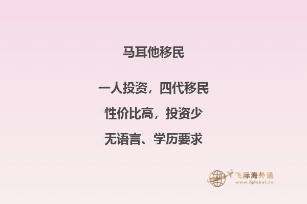 哪些教育可让你在马耳他移民？