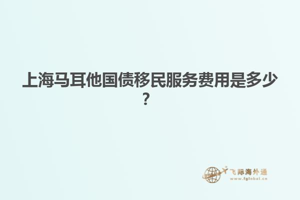 上海马耳他国债移民服务费用是多少？
