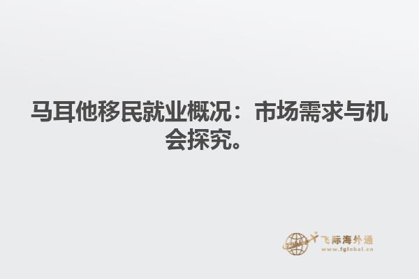 马耳他移民就业概况：市场需求与机会探究。