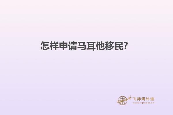 怎样申请马耳他移民？