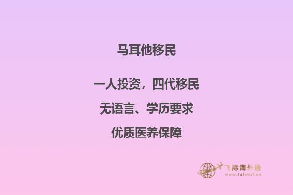 怎样申请马耳他移民？