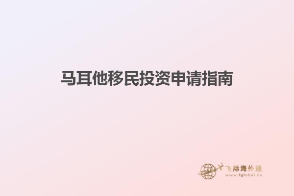 马耳他移民投资申请指南