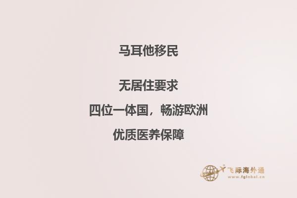 提高移民马耳他语言沟通能力的有效方法