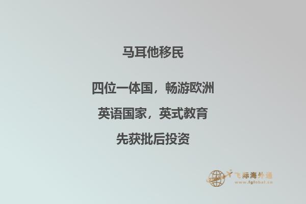 马耳他移民可享有哪些教育福利？
