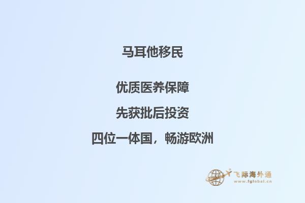 投资马耳他移民基金的步骤