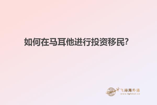 如何在马耳他进行投资移民？