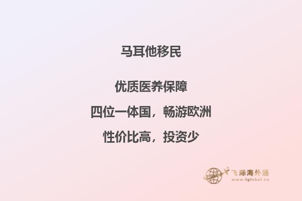 如何在马耳他进行投资移民？