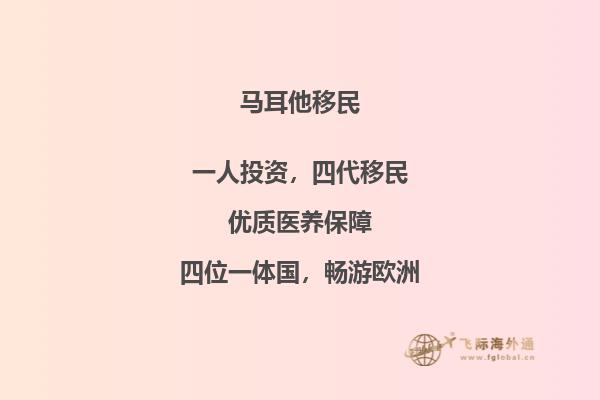 如何完成正确的马耳他移民申请？