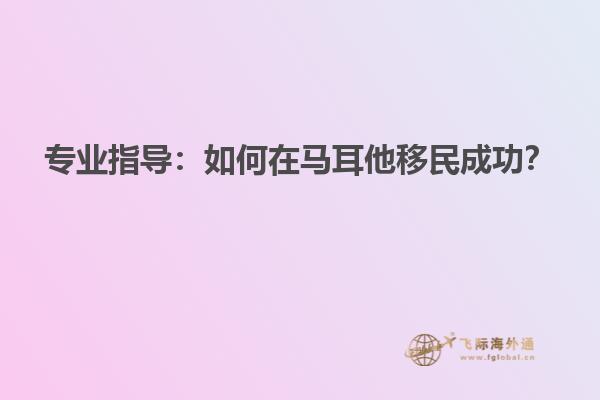 专业指导：如何在马耳他移民成功？