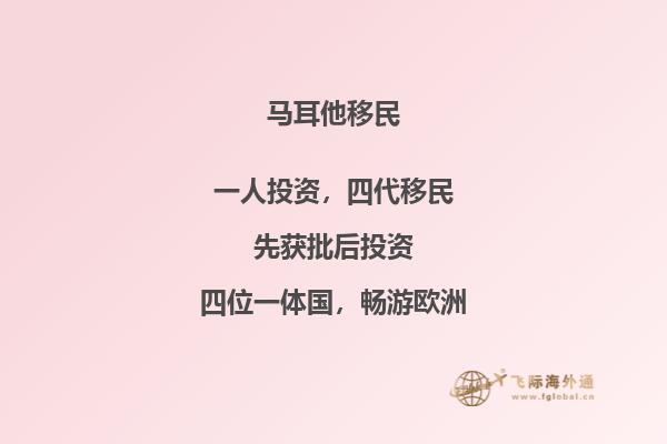 专业指导：如何在马耳他移民成功？