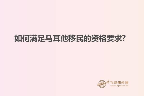 如何满足马耳他移民的资格要求？