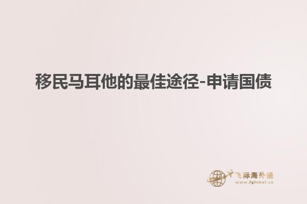 移民马耳他的最佳途径-申请国债