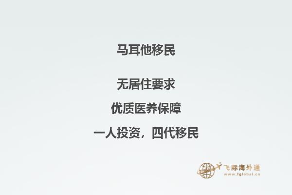马耳他提供的国家移民计划