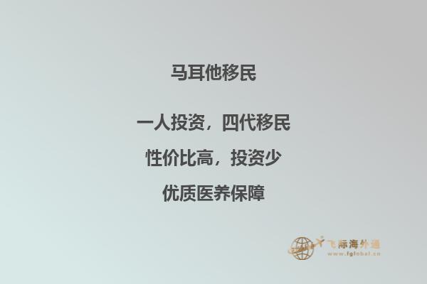 马耳他购房移民费用咨询指南