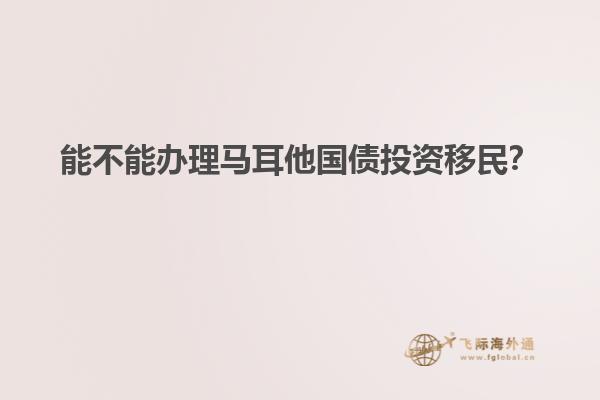 能不能办理马耳他国债投资移民？