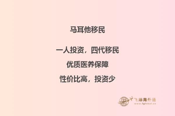 成功在马耳他投资移民