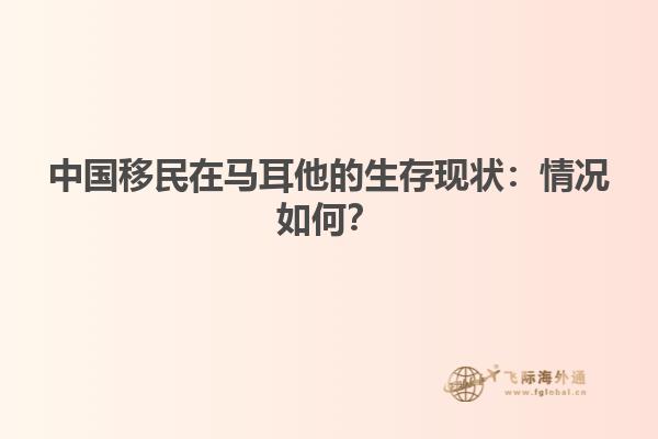 中国移民在马耳他的生存现状：情况如何？