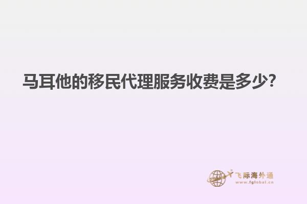 马耳他的移民代理服务收费是多少？
