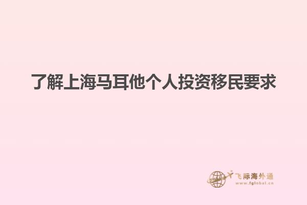 了解上海马耳他个人投资移民要求