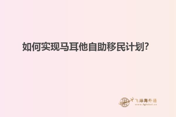 如何实现马耳他自助移民计划？
