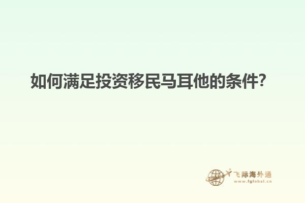 如何满足投资移民马耳他的条件？